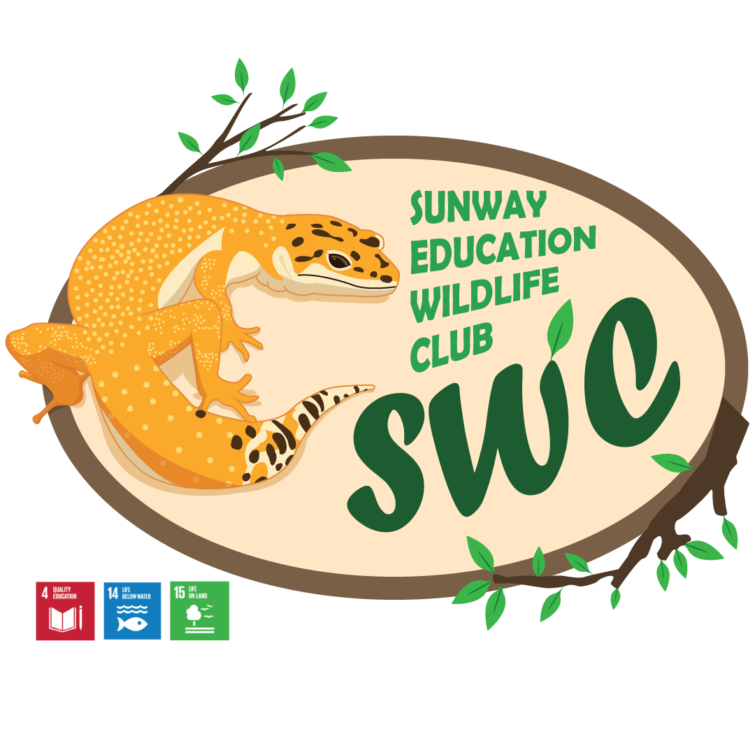Sunway Education Wildlife club