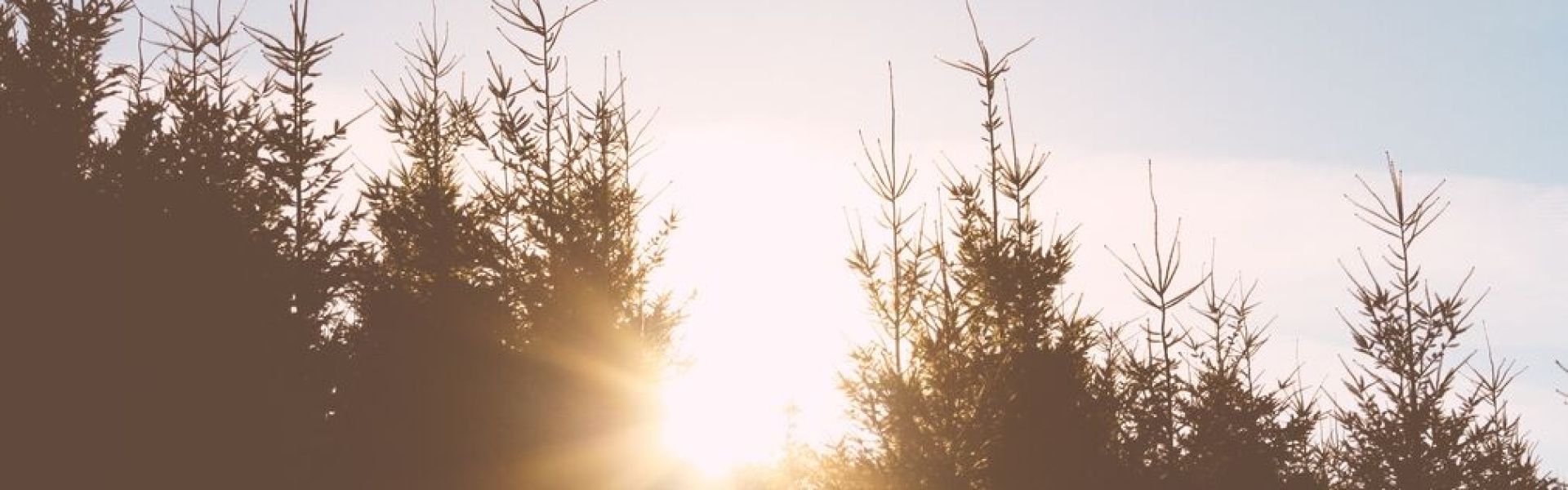 light